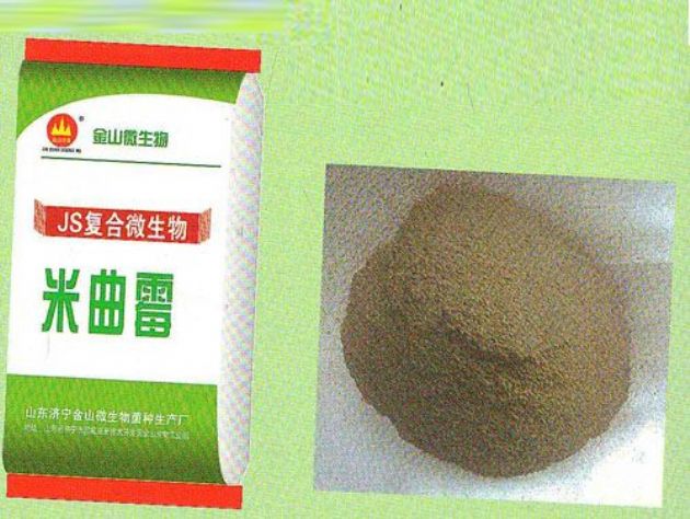 點(diǎn)擊查看詳細(xì)信息<br>標(biāo)題：米曲霉 閱讀次數(shù)：2515